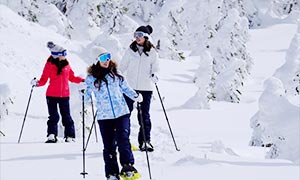 アクティビティ・周辺観光