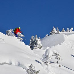 バックカントリースキー