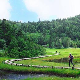 池めぐりコース