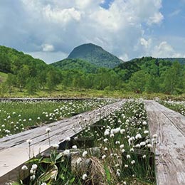 自然探勝コース