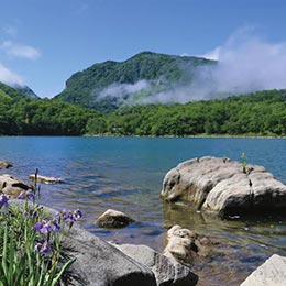 サンシャイントレイル