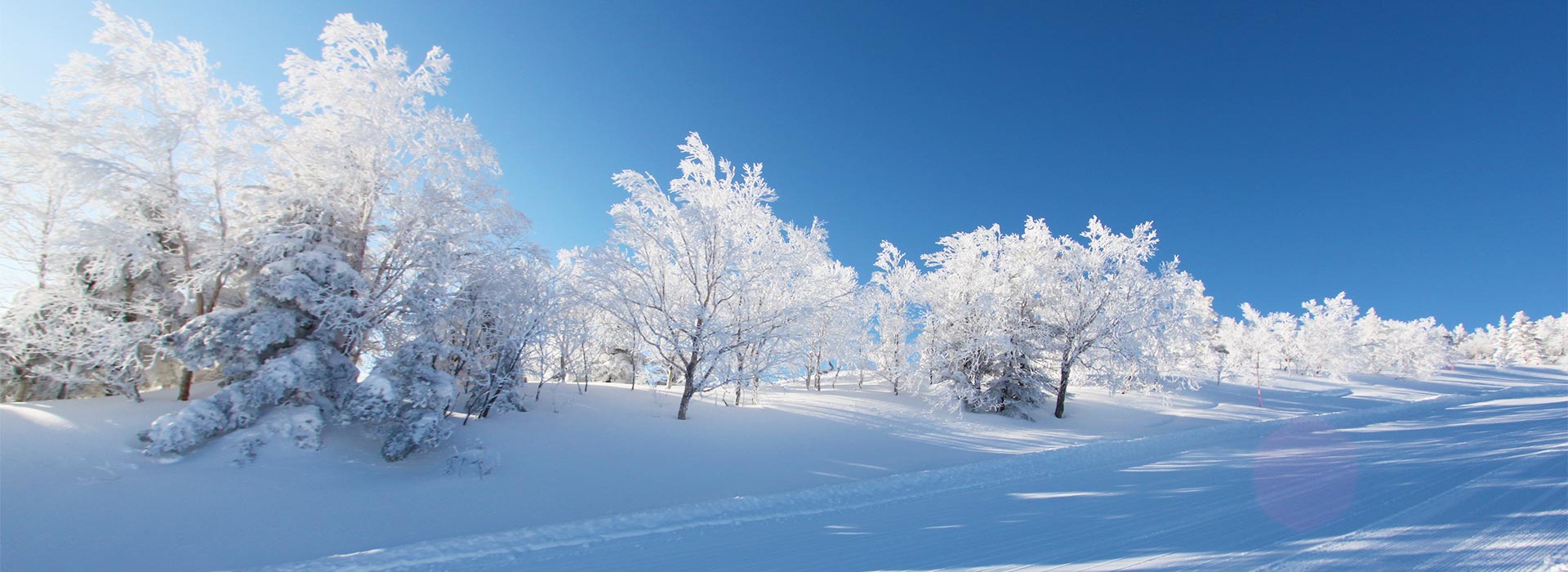 アクティビティ