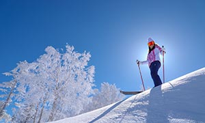 各スキー場から