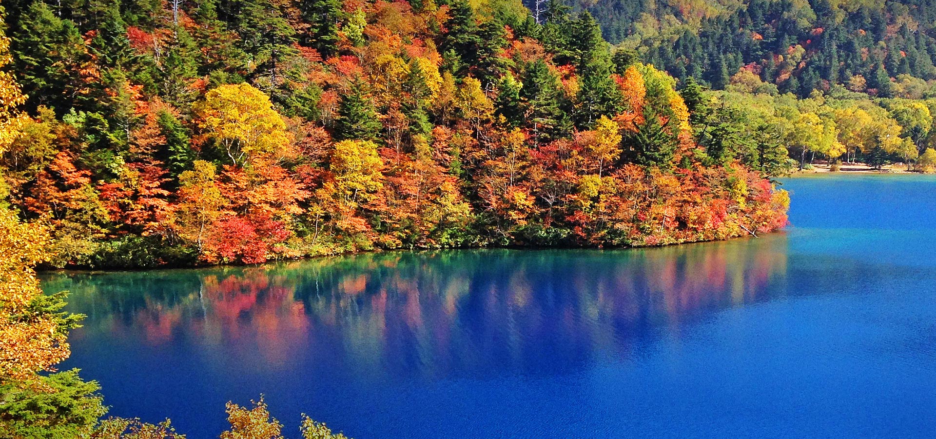 「燃えるような紅葉」の志賀高原！