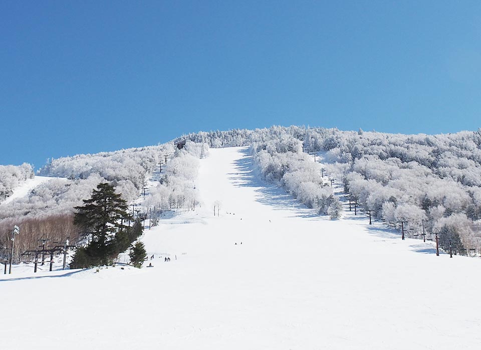 パウダースノーで最高の雪山体験を。