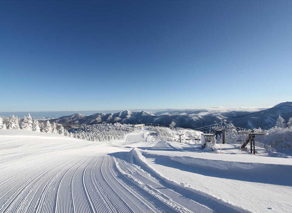 パウダースノーで最高の雪山体験を。